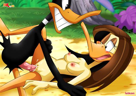 Rule 34 Anthro Daffy Duck Fur34 Looney Tunes Sex Straight Tagme The