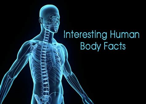 10 Fascinating Facts About Your Body Getdoc Says