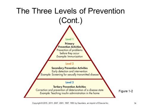 👍 The Three Levels Of Prevention Levels Of Prevention Primary