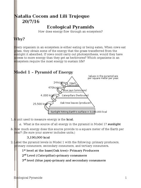 Getting the books ecological relationship answers now is not type of challenging means. Ecological Relationships Pogil Worksheet Answers | Kids ...