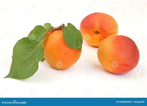 Ripe Apricots With Leaf Stock Image Image Of Apricots 255888285