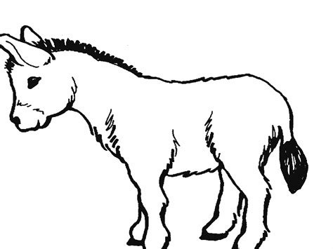Black And White Clipart Mule 10 Free Cliparts Download Images On