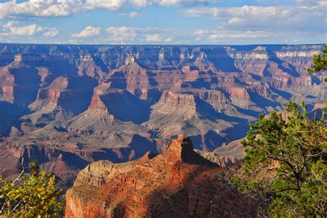 Grand Canyon National Park Dedicated At Global Important Bird Area