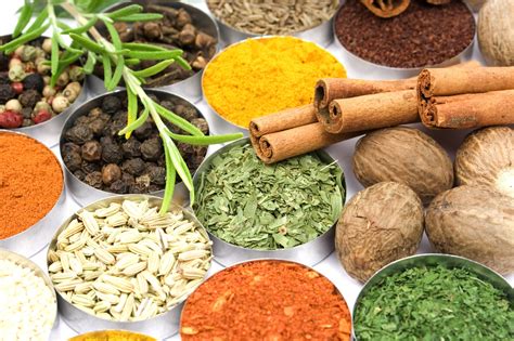 Herbs And Spices Every Kitchen Needs Better Housekeeper