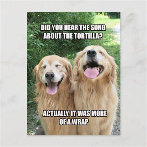 Funny Golden Retriever Tortilla Joke Meme Postcard Zazzle