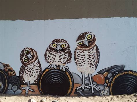 Burrowing Owl Mural In Arizona — The Naturalists Notebook Owl Mural