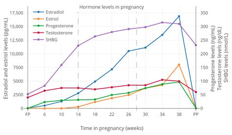 The Interactions Of Sex Hormones With Sex Hormone Binding Globulin And Relevance For