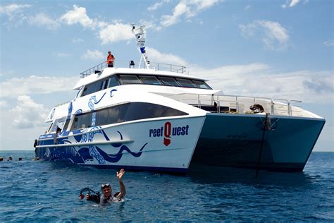 Outer Great Barrier Reef Day Trip From Cairns Divers Den