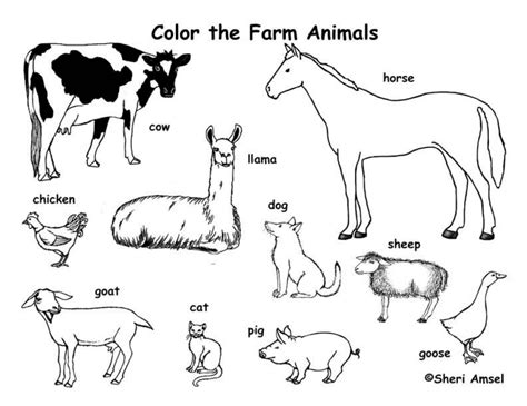 Farm Animals Free Colouring Pages