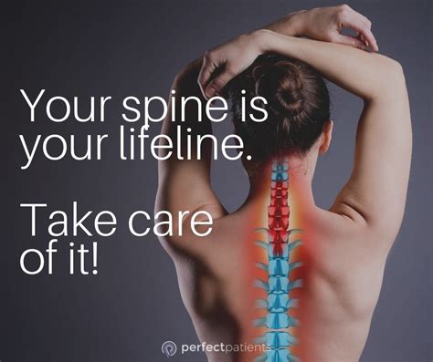 are you taking care of your spine chiropractic quotes chiropractic chiropractic care