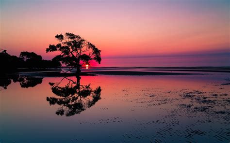 Photography Landscape Nature Water Trees Reflection