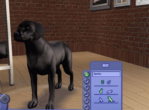 James Sims 2 Thoughts The Sims 2 Pets 2006