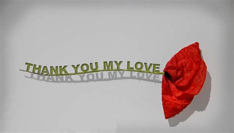 Check spelling or type a new query. Thank You Messages For Boyfriend & Appreciative Words ...