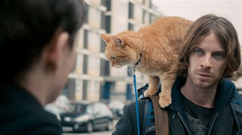 A Street Cat Named Bob Blu Ray 2016 Region Free
