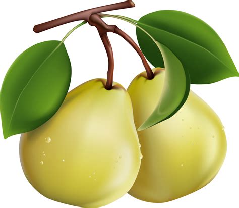 Free Pears Cliparts, Download Free Pears Cliparts png images, Free ClipArts on Clipart Library