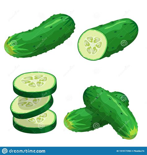 Cucumbers In Cartoon Style Set Whole Cucumber Half Slices And