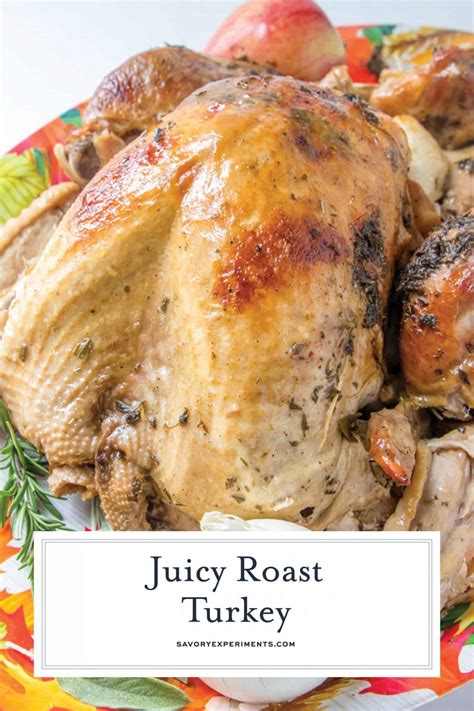 From the perfect recipe for celebrating with family and friends, from. Juicy Roast Turkey + VIDEO The Best Thanksgiving Turkey ...