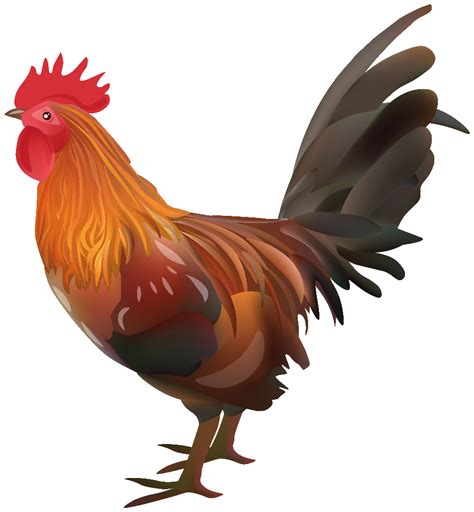 Download High Quality Rooster Clipart Transparent Transparent Png