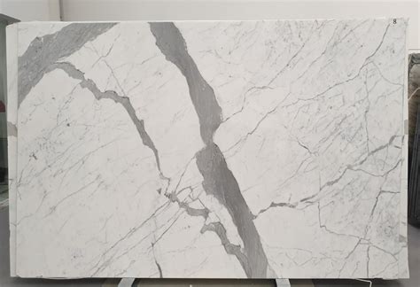 Bianco Statuario Bianco Statuario Marble Acemar Stone