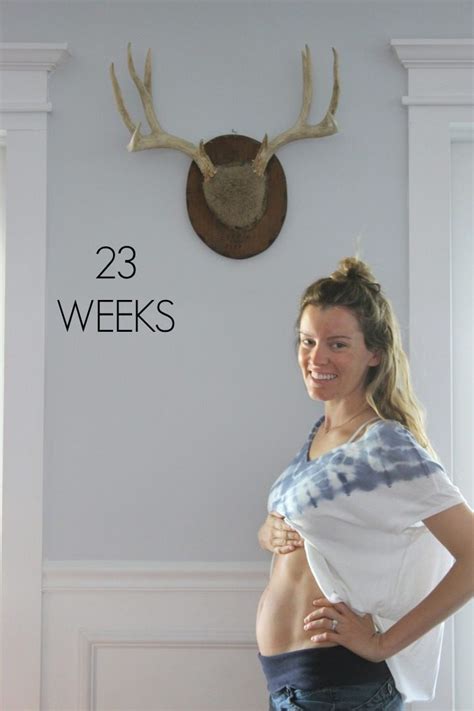 23 Weeks Pregnant Dream Book Design