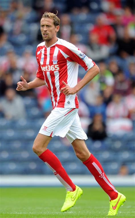 Stoke Boss Mark Hughes Urges Peter Crouch To Remain Patient Daily Star