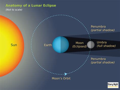 Lunar Eclipses Whats Going On Up There