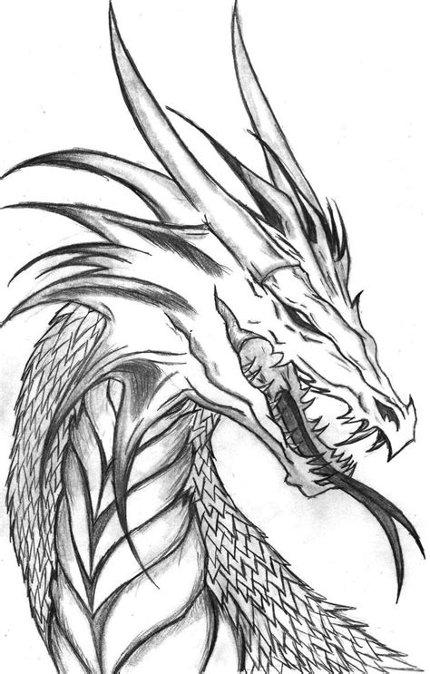 Dragon Head Side Profile By The Musedragon On Deviantart Cool Dragon