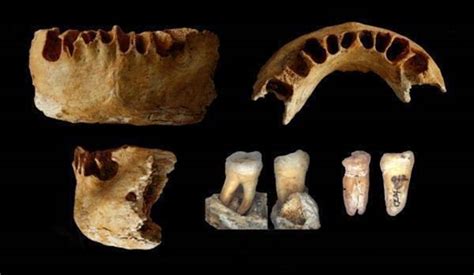 Ancient Human Fossils Found In China Challenge Out Of Africa Theory