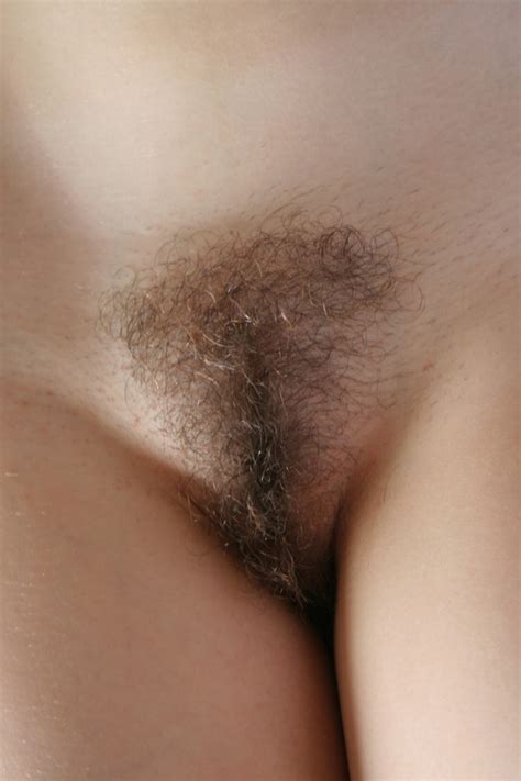 Women With Hairy Muffs Ii Page 6 Literotica Discussion