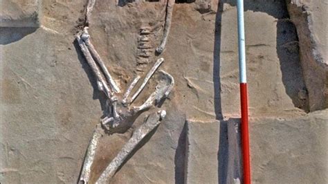 Mungo Lady Human Remains Britannica