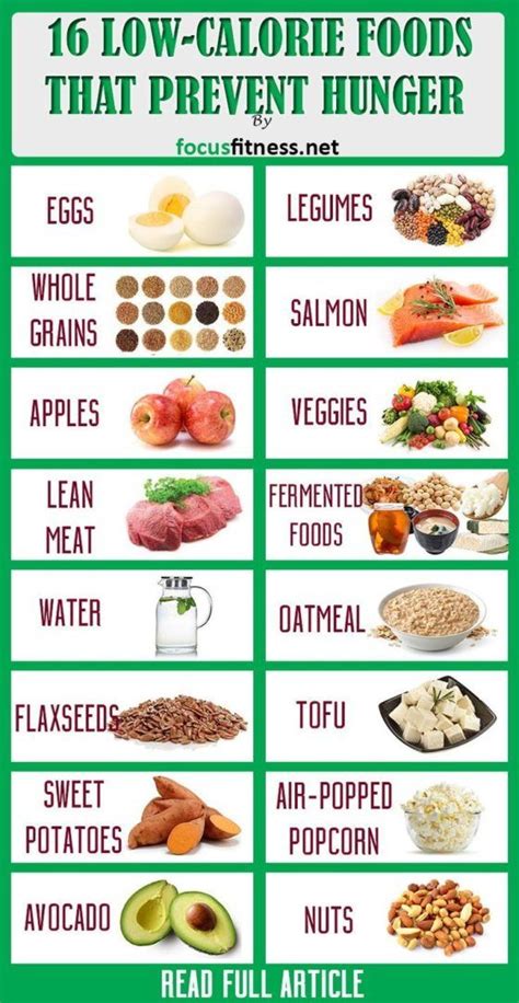 Getting enough food to satisfy your character's hunger can always be challenging, especially when starting a fresh world. 16 Most Filling Low-Calorie Foods to Prevent Hunger ...
