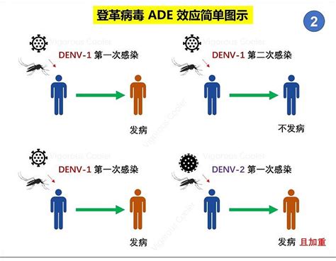 「星級有營食肆」運動 「疫苗資助計劃」 接種流感疫苗的特別安排 2020/21 疫苗接種計劃 新冠灭活疫苗和减毒活疫苗谁可能更优效？ 由于新冠肺炎的高致死率（欧美数据）和高传染性，促使投入研发新冠疫苗的公司超过历次疫情，速度也超过既往进程。 目前已经进入... - 雪球