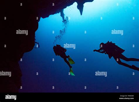 Scuba Divers Underwater The Great Blue Hole Belize Barrier Reef