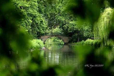We did not find results for: Brücke im Berggarten zu Hannover Foto & Bild | landschaft ...