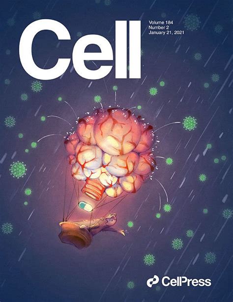 Best Scientific Journal Covers From 2021