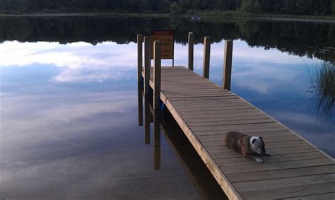 It has 120 rustic, 200 modern and 25 equestrian camping sites, plus two cabins. Yankee Springs State Recreation Area Deep Lake Campground ...