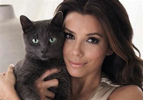Sheba (cat food) sheba is a brand of canned cat food produced by mars, incorporated. Happy Cat on | Celebrities with cats, Eva longoria, Cats