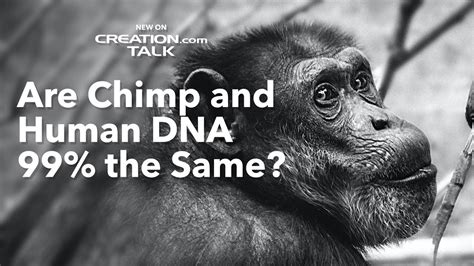 Are Chimp And Human Dna 99 The Same Youtube