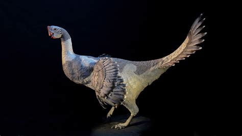 11 Terrifying Dinosaurs That Rocked Feathers Better Than Birds Audubon