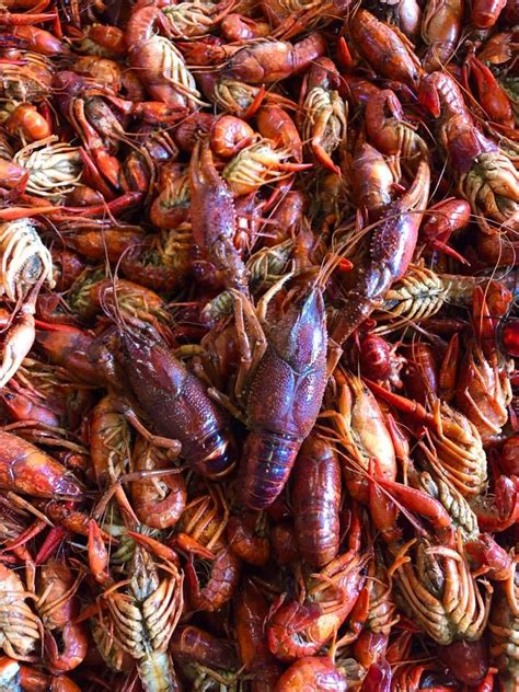 We did not find results for: Taranto's crawfish poboys & seafood - Home - Biloxi ...