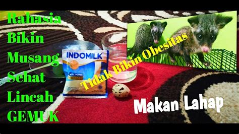 Dalam setiap 166 gram tempe, akan terkandung total lemak sebesar 19 gram. Tips membuat makanan musang sehat murah dan sederhana ...