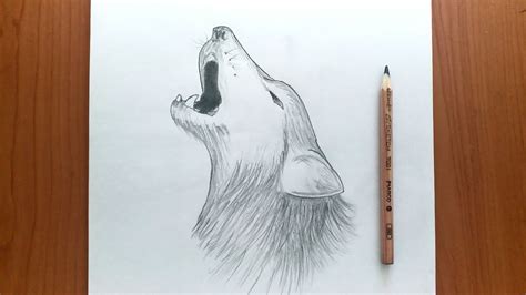 How To Draw A Wolf For Beginners Step By Step