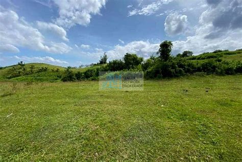 22 Hectares Titled Lot For Sale In San Fernando Cebu Realty Network