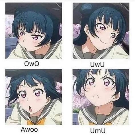 Images Of Anime Girl Owo Uwu Face