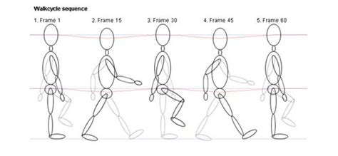 25 Best Walk Cycle Animation Videos And Keyframe