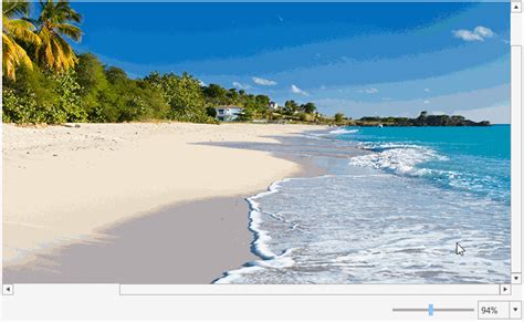 Zoom Virtual Background  Beach