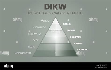 A Vector Illustration Of The DIKW Hierarchy Has Wisdom Knowledge