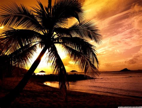 Beach Sunset Wallpaper Desktop Wallpapers Gallery