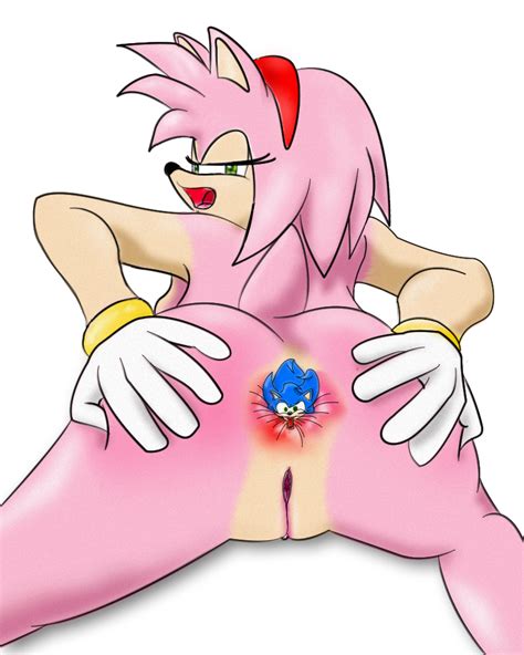 Rule If It Exists There Is Porn Of It Amy Rose Sonic The