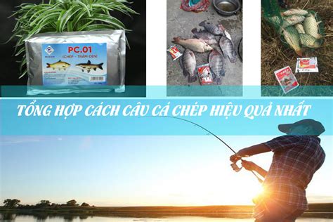 Chia Sẻ 5 Bài Mồi Câu Cá Chép Hiệu Quả Nhất Mẹo Vặt Hay Cho Gia Đình